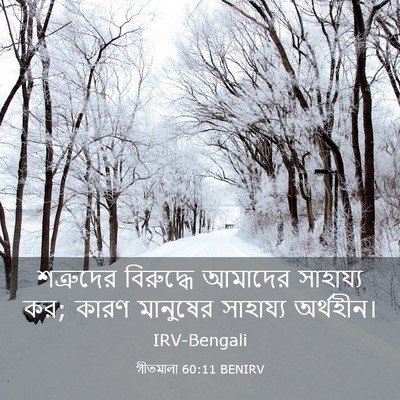 Picture 03 - গীতমালা 60:11 BENIRV - শত্রুদের বিরুদ্ধে - Bible Verse Picture