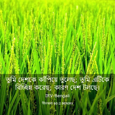 Picture 03 - গীতমালা 60:2 BENIRV - তুমি দেশকে - Bible Verse Picture