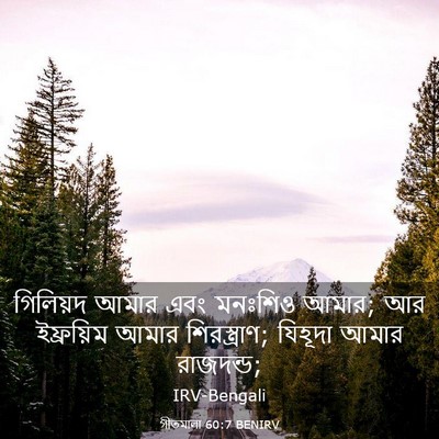 Picture 03 - গীতমালা 60:7 BENIRV - গিলিয়দ আমার এবং - Bible Verse Picture