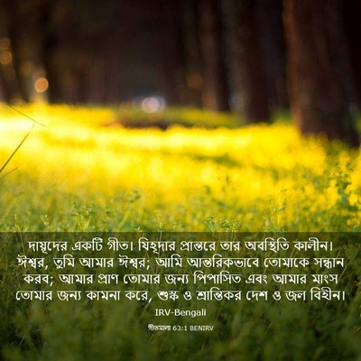 Picture 03 - গীতমালা 63:1 BENIRV - দায়ূদের একটি - Bible Verse Picture