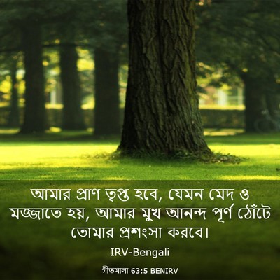 Picture 03 - গীতমালা 63:5 BENIRV - আমার প্রাণ তৃপ্ত - Bible Verse Picture