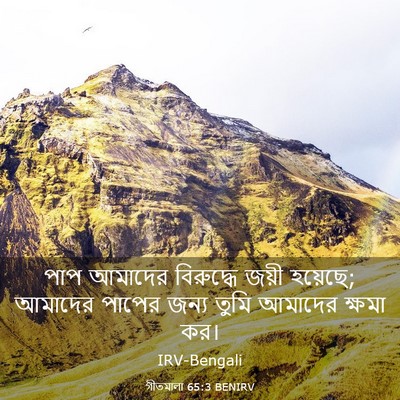 Picture 03 - গীতমালা 65:3 BENIRV - পাপ আমাদের - Bible Verse Picture