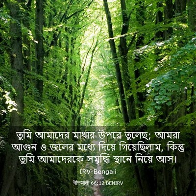 Picture 03 - গীতমালা 66:12 BENIRV - তুমি আমাদের মাথার - Bible Verse Picture