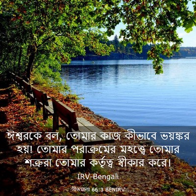Picture 03 - গীতমালা 66:3 BENIRV - ঈশ্বরকে বল, তোমার - Bible Verse Picture