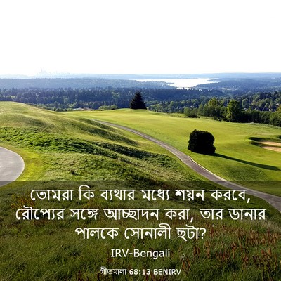 Picture 03 - গীতমালা 68:13 BENIRV - তোমরা কি ব্যথার - Bible Verse Picture