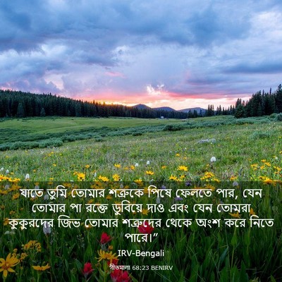 Picture 03 - গীতমালা 68:23 BENIRV - যাতে তুমি তোমার - Bible Verse Picture