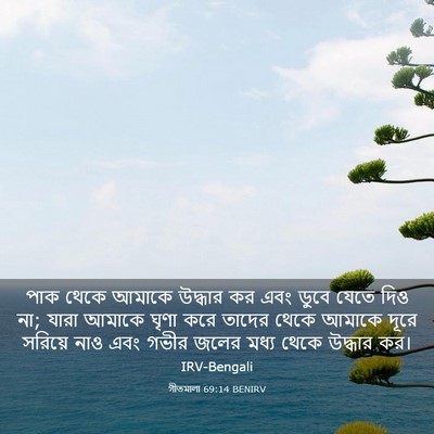Picture 03 - গীতমালা 69:14 BENIRV - পাক থেকে আমাকে - Bible Verse Picture