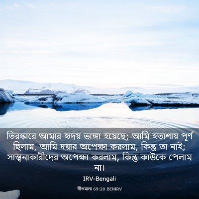 Picture 03 - গীতমালা 69:20 BENIRV - তিরস্কারে আমার - Bible Verse Picture