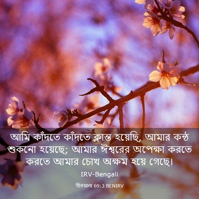 Picture 03 - গীতমালা 69:3 BENIRV - আমি কাঁদতে কাঁদতে - Bible Verse Picture