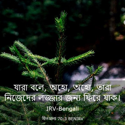 Picture 03 - গীতমালা 70:3 BENIRV - যারা বলে, অহো, অহো, - Bible Verse Picture