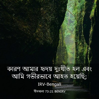 Picture 03 - গীতমালা 73:21 BENIRV - কারণ আমার হৃদয় - Bible Verse Picture