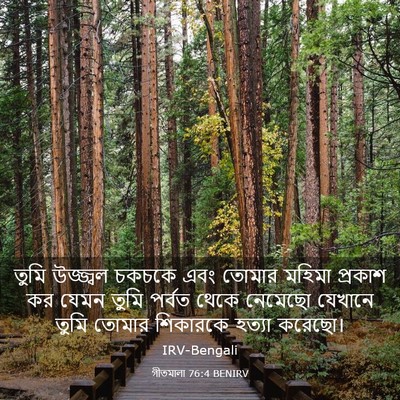 Picture 03 - গীতমালা 76:4 BENIRV - তুমি উজ্জ্বল - Bible Verse Picture