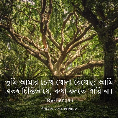 Picture 03 - গীতমালা 77:4 BENIRV - তুমি আমার চোখ খোলা - Bible Verse Picture