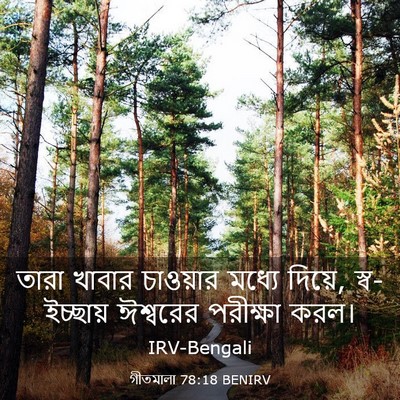 Picture 03 - গীতমালা 78:18 BENIRV - তারা খাবার - Bible Verse Picture
