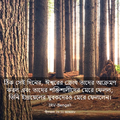 Picture 03 - গীতমালা 78:31 BENIRV - ঠিক সেই দিনের, - Bible Verse Picture