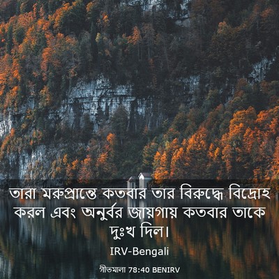 Picture 03 - গীতমালা 78:40 BENIRV - তারা মরুপ্রান্তে - Bible Verse Picture