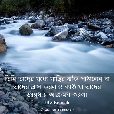 Picture 03 - গীতমালা 78:45 BENIRV - তিনি তাদের মধ্যে - Bible Verse Picture