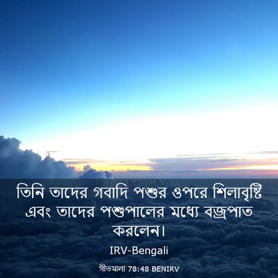 Picture 03 - গীতমালা 78:48 BENIRV - তিনি তাদের গবাদি - Bible Verse Picture
