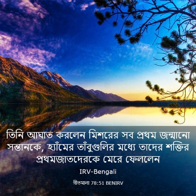 Picture 03 - গীতমালা 78:51 BENIRV - তিনি আঘাত করলেন - Bible Verse Picture