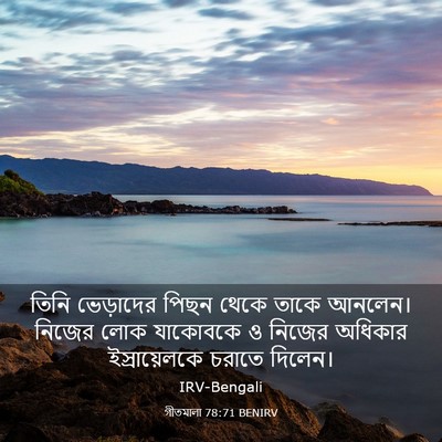 Picture 03 - গীতমালা 78:71 BENIRV - তিনি ভেড়াদের - Bible Verse Picture