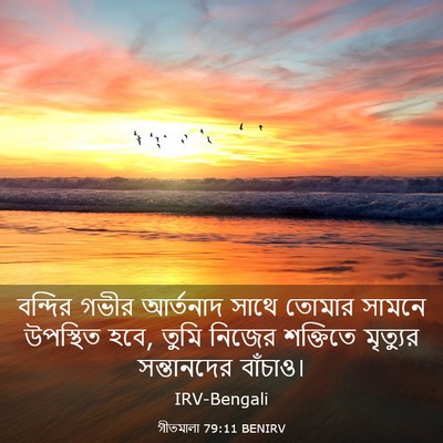 Picture 03 - গীতমালা 79:11 BENIRV - বন্দির গভীর - Bible Verse Picture