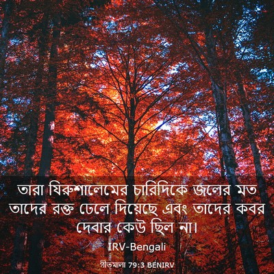 Picture 03 - গীতমালা 79:3 BENIRV - তারা যিরুশালেমের - Bible Verse Picture