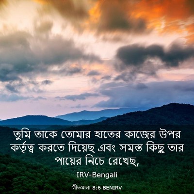 Picture 03 - গীতমালা 8:6 BENIRV - তুমি তাকে তোমার - Bible Verse Picture
