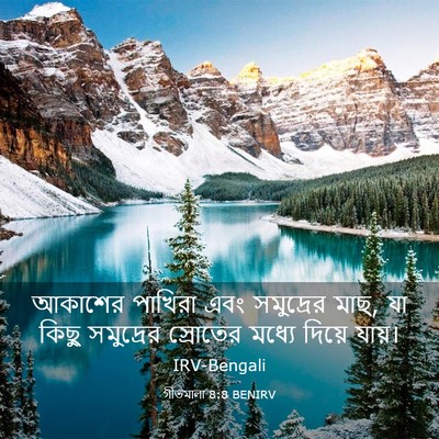 Picture 03 - গীতমালা 8:8 BENIRV - আকাশের পাখিরা এবং - Bible Verse Picture