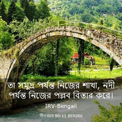 Picture 03 - গীতমালা 80:11 BENIRV - তা সমুদ্র পর্যন্ত - Bible Verse Picture