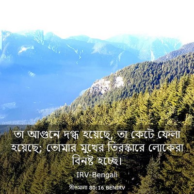 Picture 03 - গীতমালা 80:16 BENIRV - তা আগুনে দগ্ধ - Bible Verse Picture