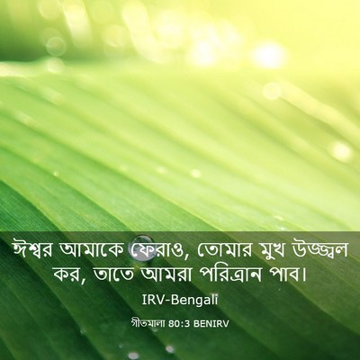Picture 03 - গীতমালা 80:3 BENIRV - ঈশ্বর আমাকে ফেরাও, - Bible Verse Picture