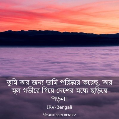 Picture 03 - গীতমালা 80:9 BENIRV - তুমি তার জন্য জমি - Bible Verse Picture