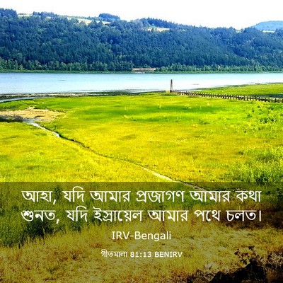 Picture 03 - গীতমালা 81:13 BENIRV - আহা, যদি আমার - Bible Verse Picture