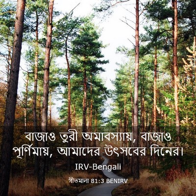 Picture 03 - গীতমালা 81:3 BENIRV - বাজাও তুরী - Bible Verse Picture