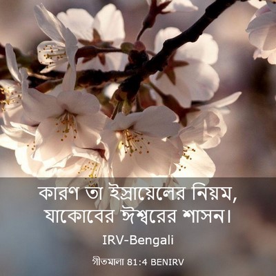 Picture 03 - গীতমালা 81:4 BENIRV - কারণ তা - Bible Verse Picture