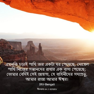 Picture 03 - গীতমালা 84:3 BENIRV - এমনকি চড়াই পাখি - Bible Verse Picture
