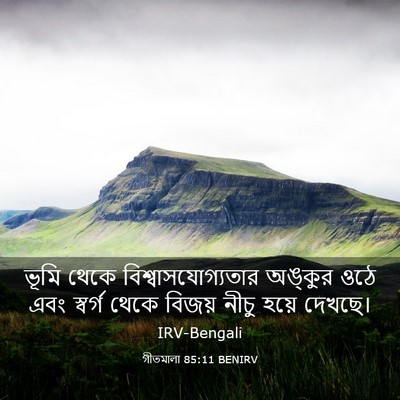 Picture 03 - গীতমালা 85:11 BENIRV - ভূমি থেকে - Bible Verse Picture