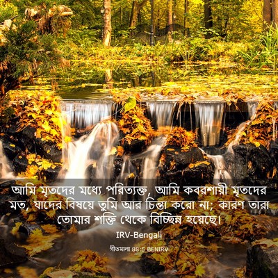 Picture 03 - গীতমালা 88:5 BENIRV - আমি মৃতদের মধ্যে - Bible Verse Picture