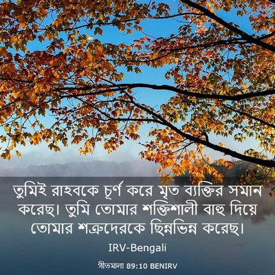 Picture 03 - গীতমালা 89:10 BENIRV - তুমিই রাহবকে - Bible Verse Picture