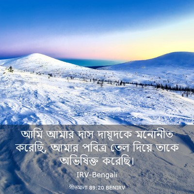Picture 03 - গীতমালা 89:20 BENIRV - আমি আমার দাস - Bible Verse Picture