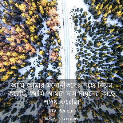 Picture 03 - গীতমালা 89:3 BENIRV - আমি আমার - Bible Verse Picture