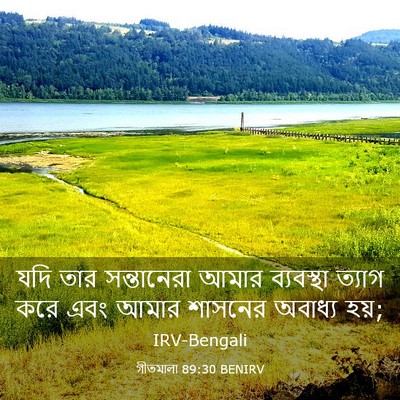 Picture 03 - গীতমালা 89:30 BENIRV - যদি তার সন্তানেরা - Bible Verse Picture