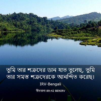 Picture 03 - গীতমালা 89:42 BENIRV - তুমি তার শত্রুদের - Bible Verse Picture