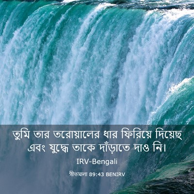 Picture 03 - গীতমালা 89:43 BENIRV - তুমি তার - Bible Verse Picture