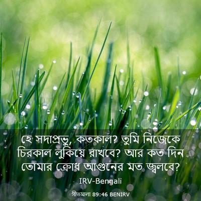 Picture 03 - গীতমালা 89:46 BENIRV - হে সদাপ্রভুু, - Bible Verse Picture