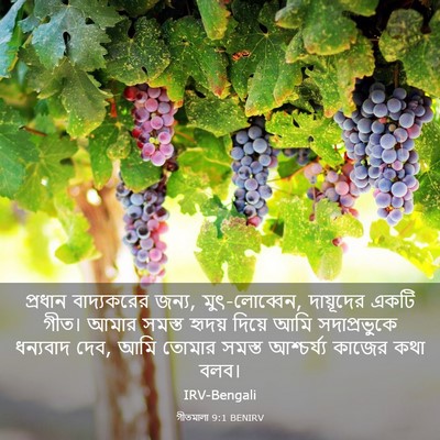 Picture 03 - গীতমালা 9:1 BENIRV - প্রধান বাদ্যকরের - Bible Verse Picture