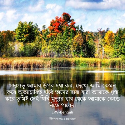 Picture 03 - গীতমালা 9:13 BENIRV - সদাপ্রভুু আমার - Bible Verse Picture