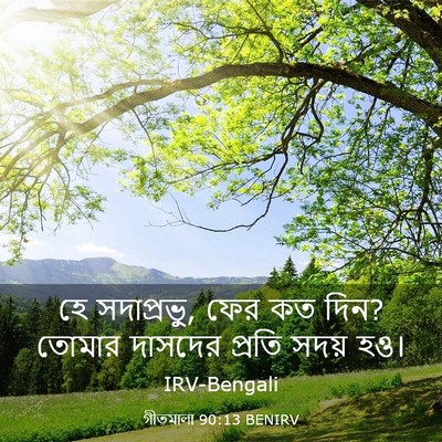 Picture 03 - গীতমালা 90:13 BENIRV - হে সদাপ্রভুু, ফের - Bible Verse Picture