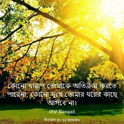 Picture 03 - গীতমালা 91:10 BENIRV - কোনো খারাপ তোমাকে - Bible Verse Picture