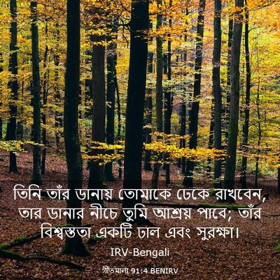 Picture 03 - গীতমালা 91:4 BENIRV - তিনি তাঁর ডানায় - Bible Verse Picture